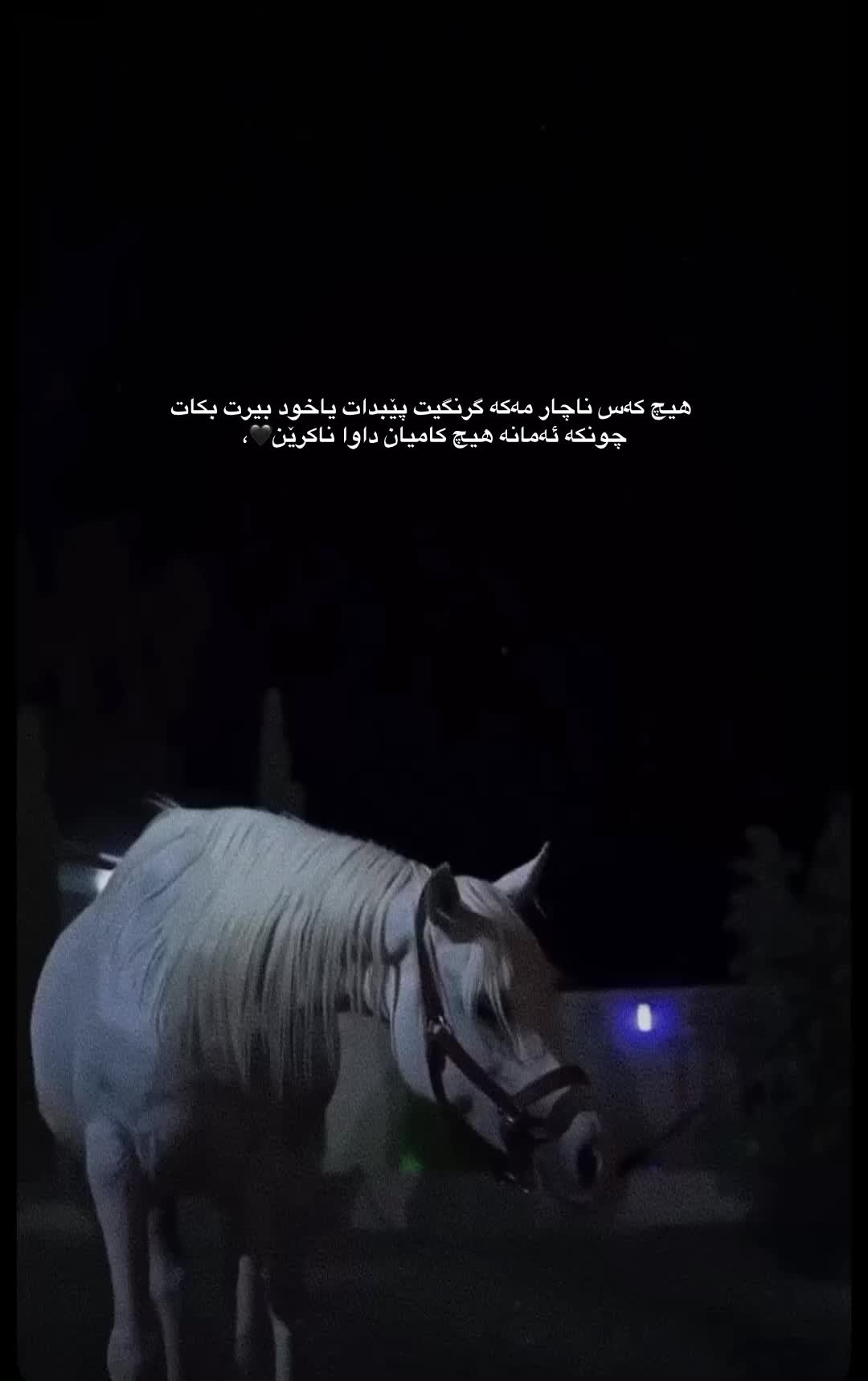 @Sahar