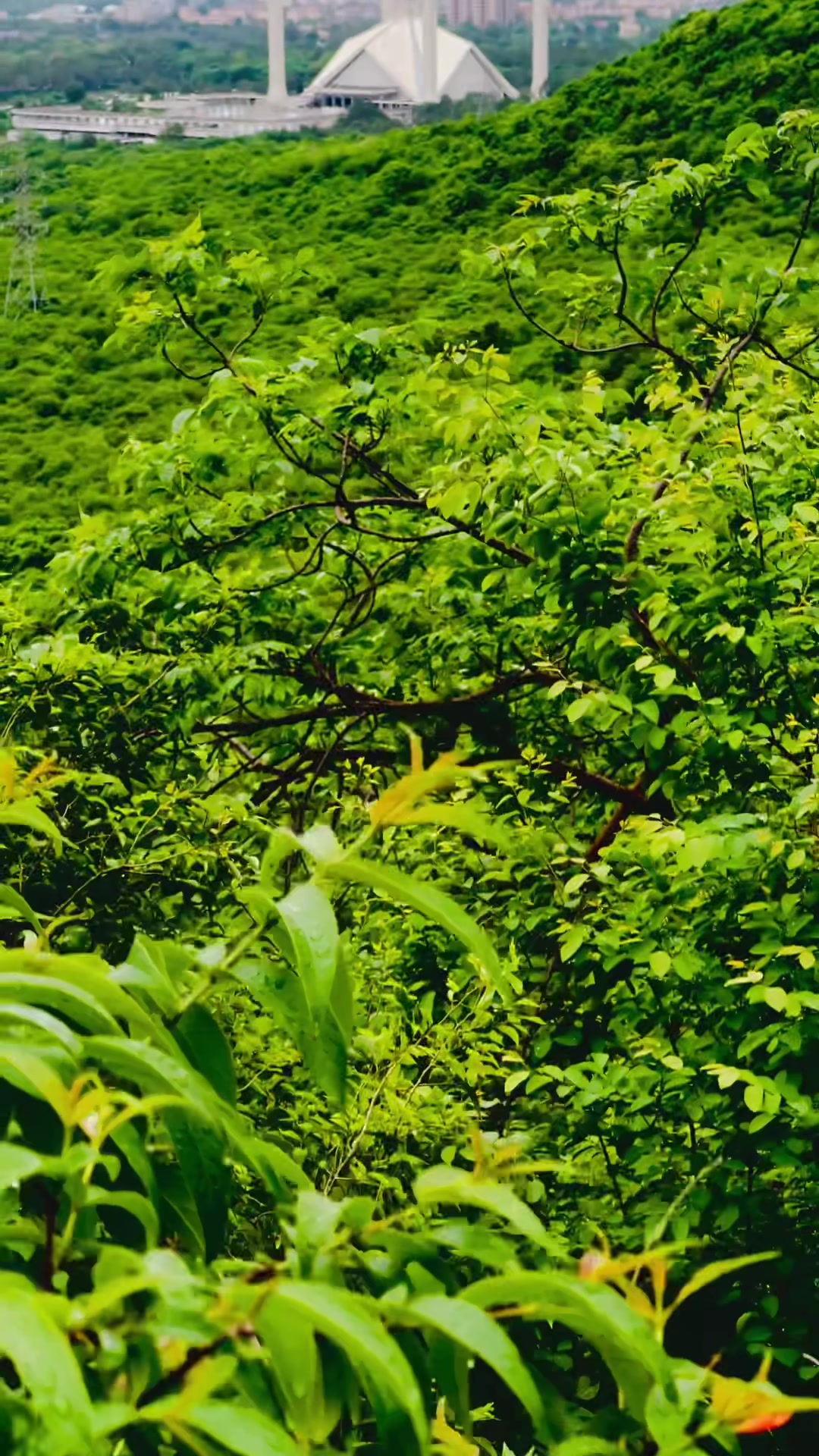 @𝐋𝐨𝐯𝐞-𝐋𝐢𝐟𝐞-OF-𝐈𝐒𝐁🍃