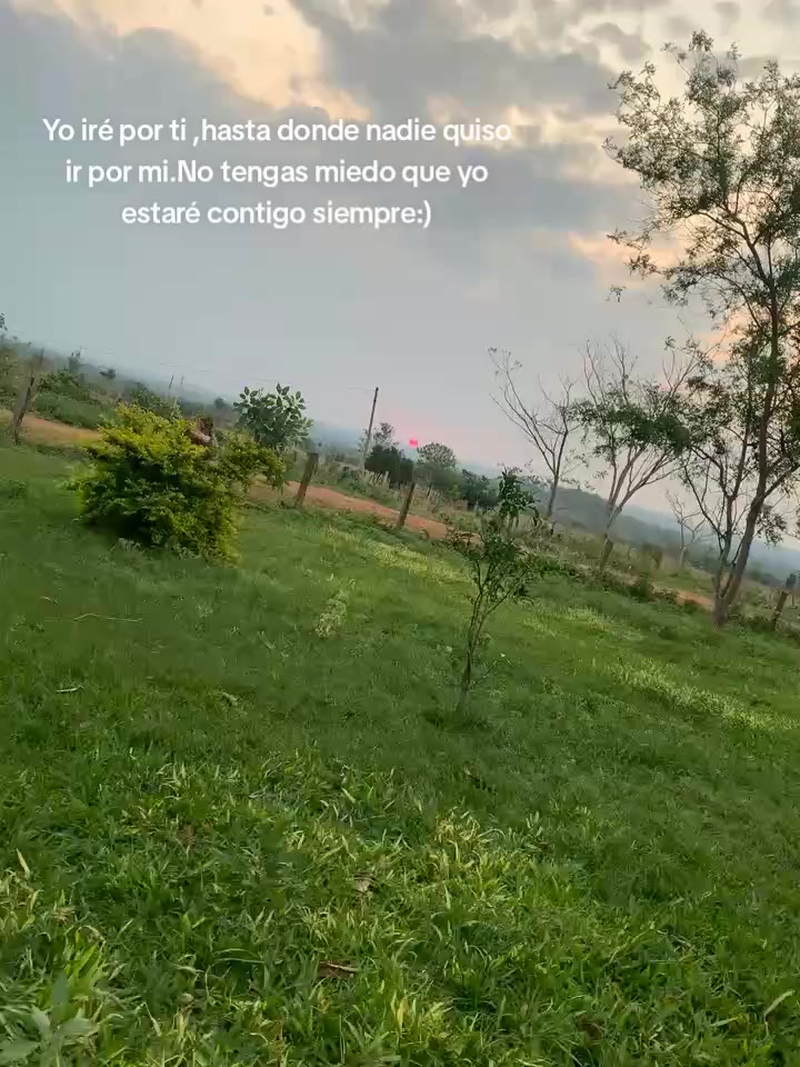 @Frases 🌹🥀