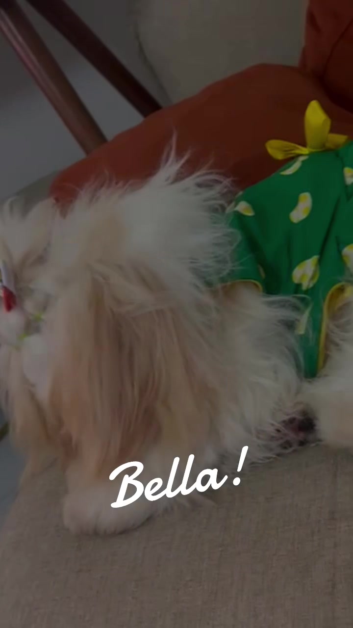 @#Bella#amais#bela.