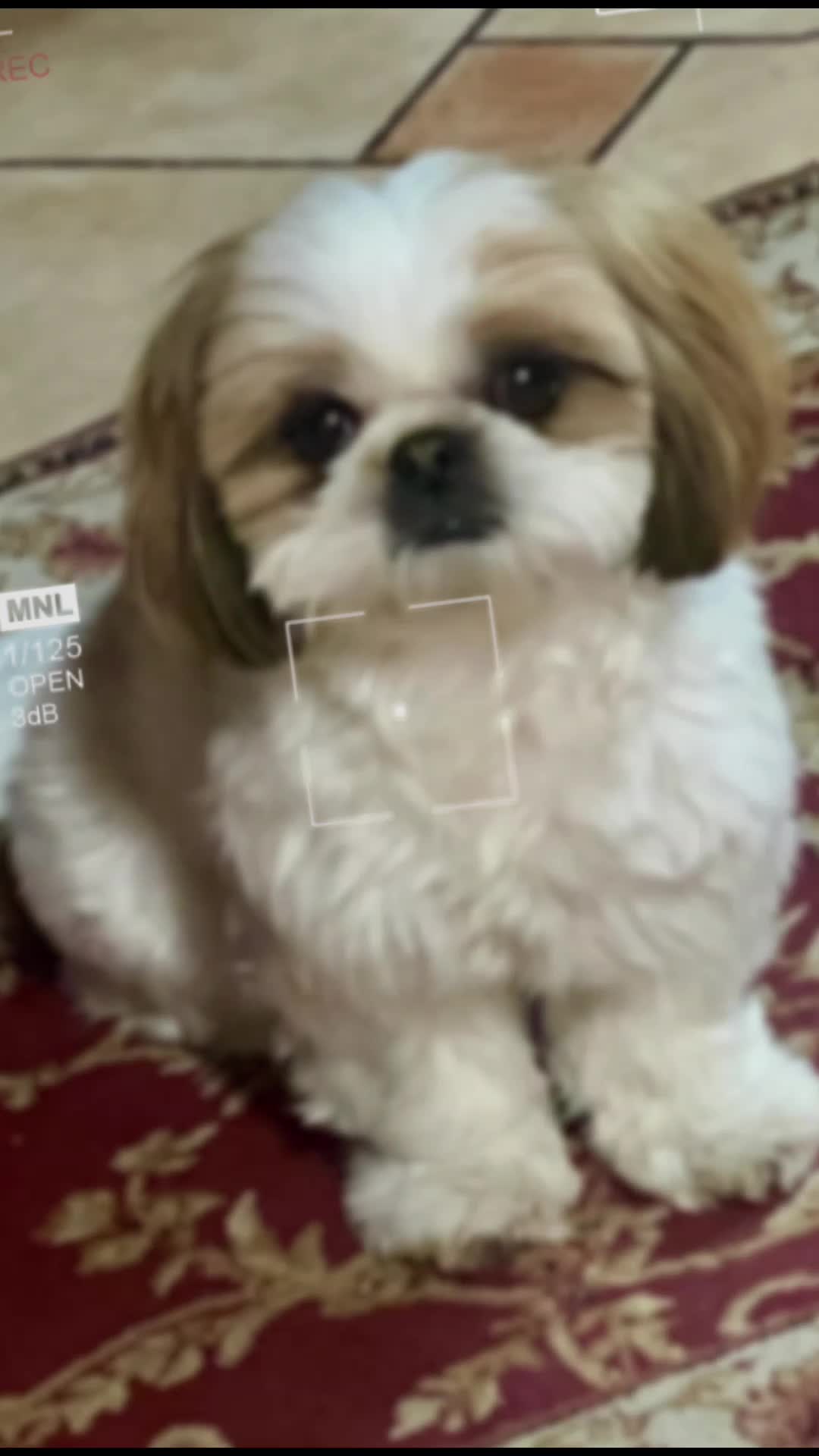 @𝔐𝔍