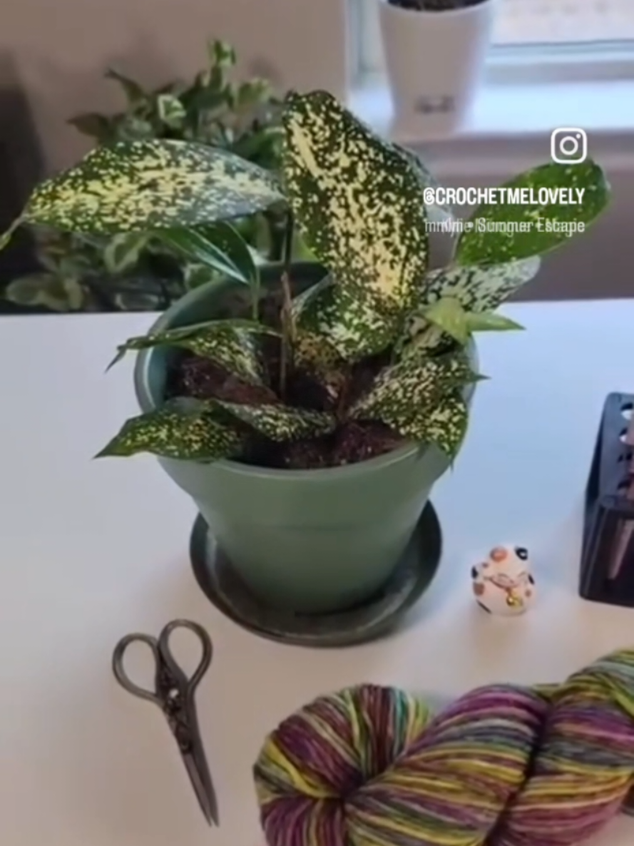 @crochetmelovely ✨️