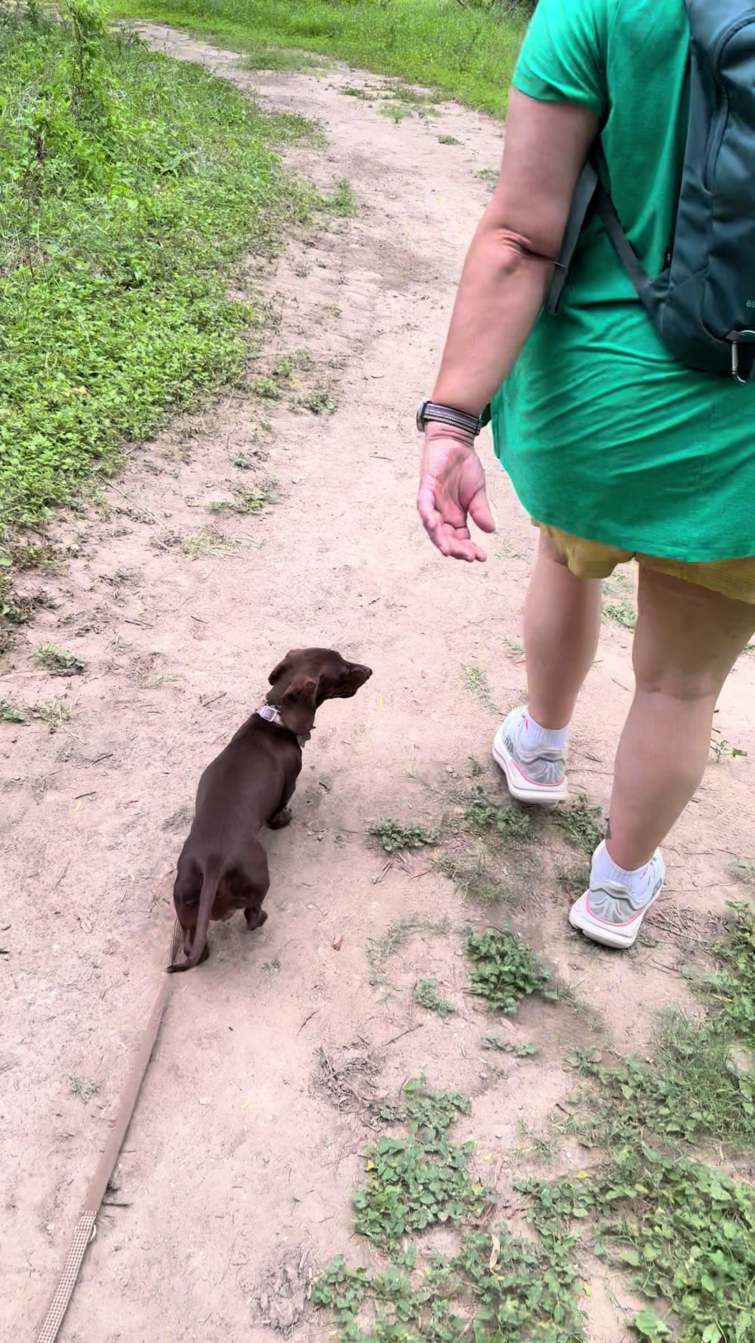 @ozzythedoxy