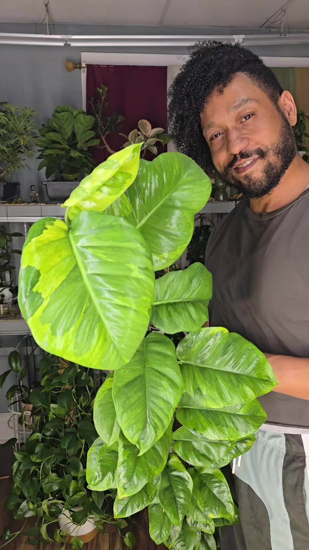 @JT - BigEGOPlants