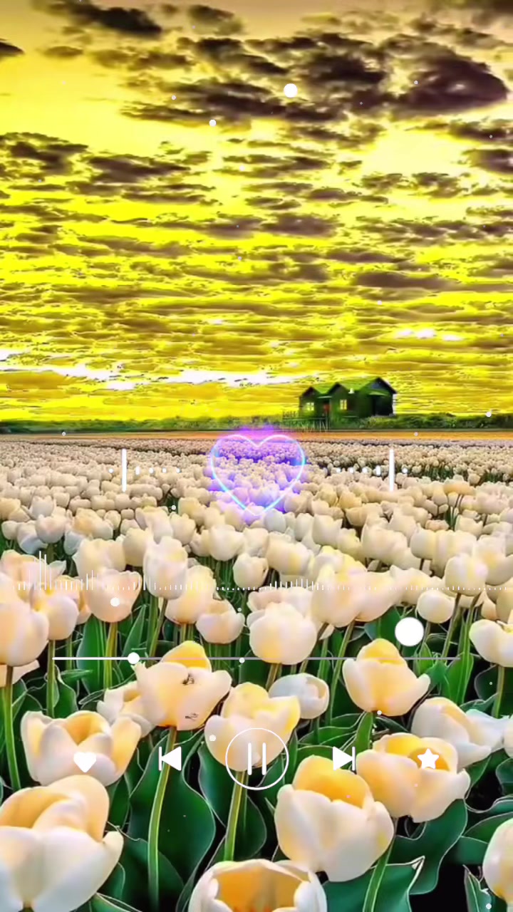 @Ромашка