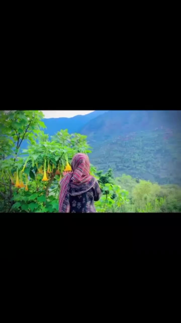 @꧁༒♛کشمیری سندری♛༒꧂