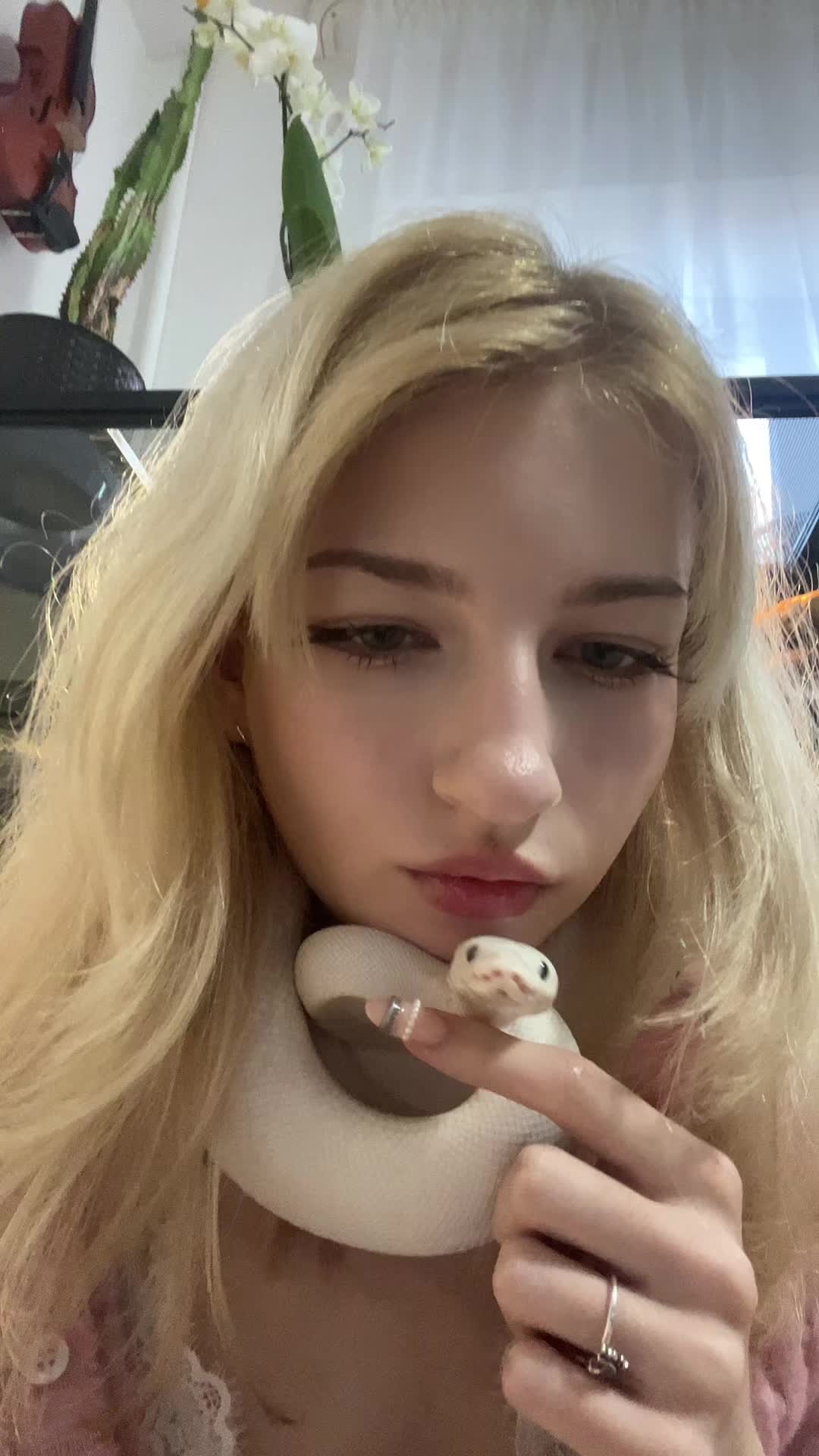 @snakemommy1