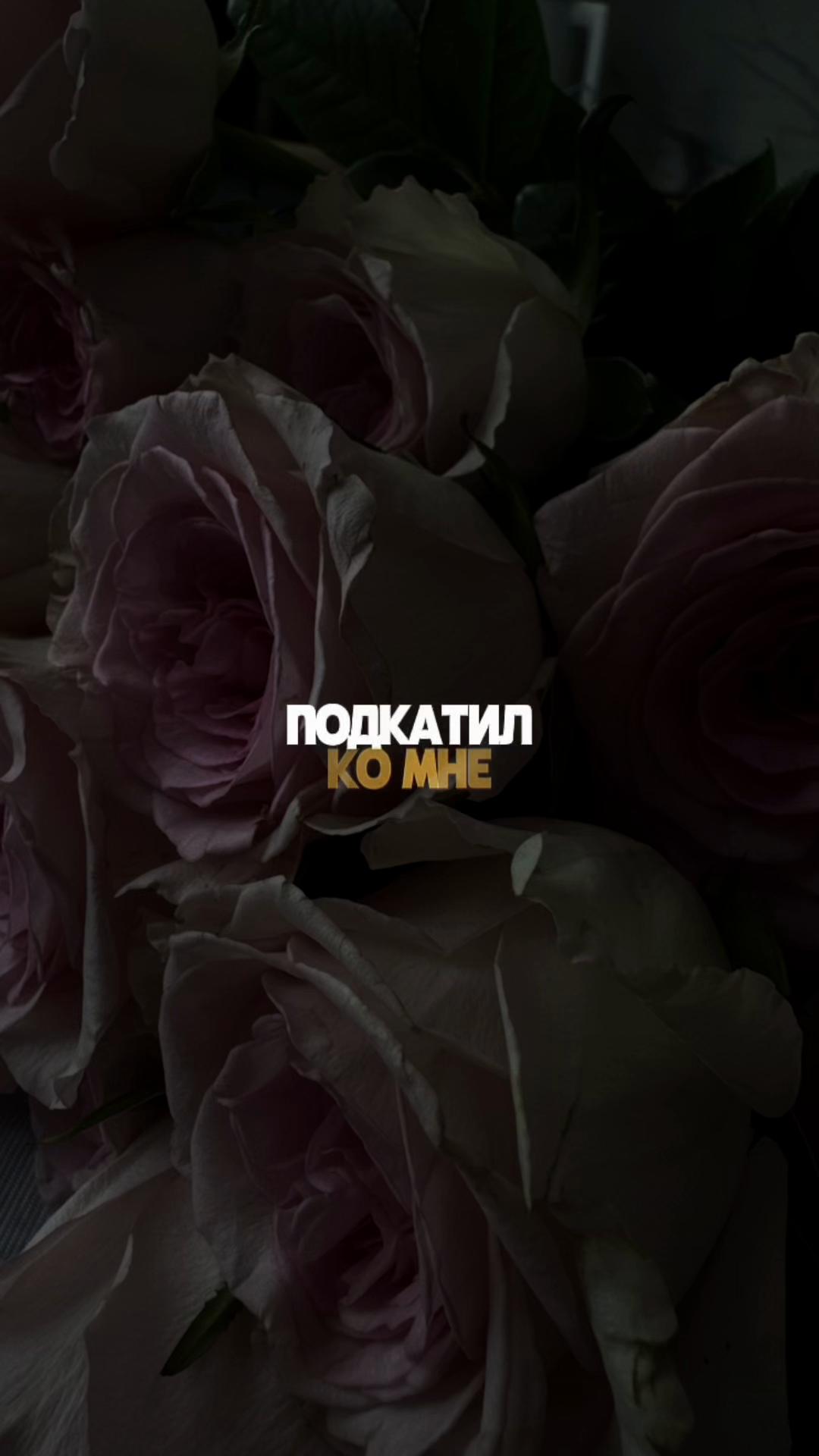 @MusicTemplates