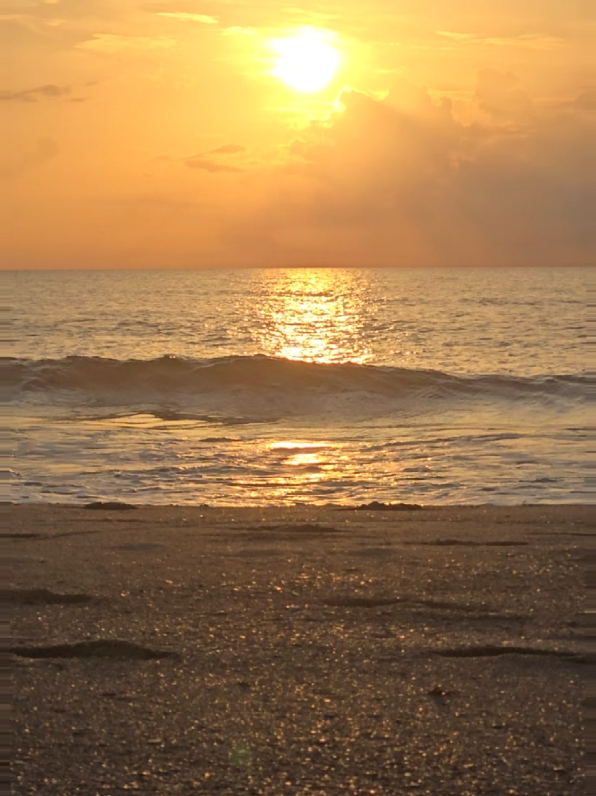@justbeachy