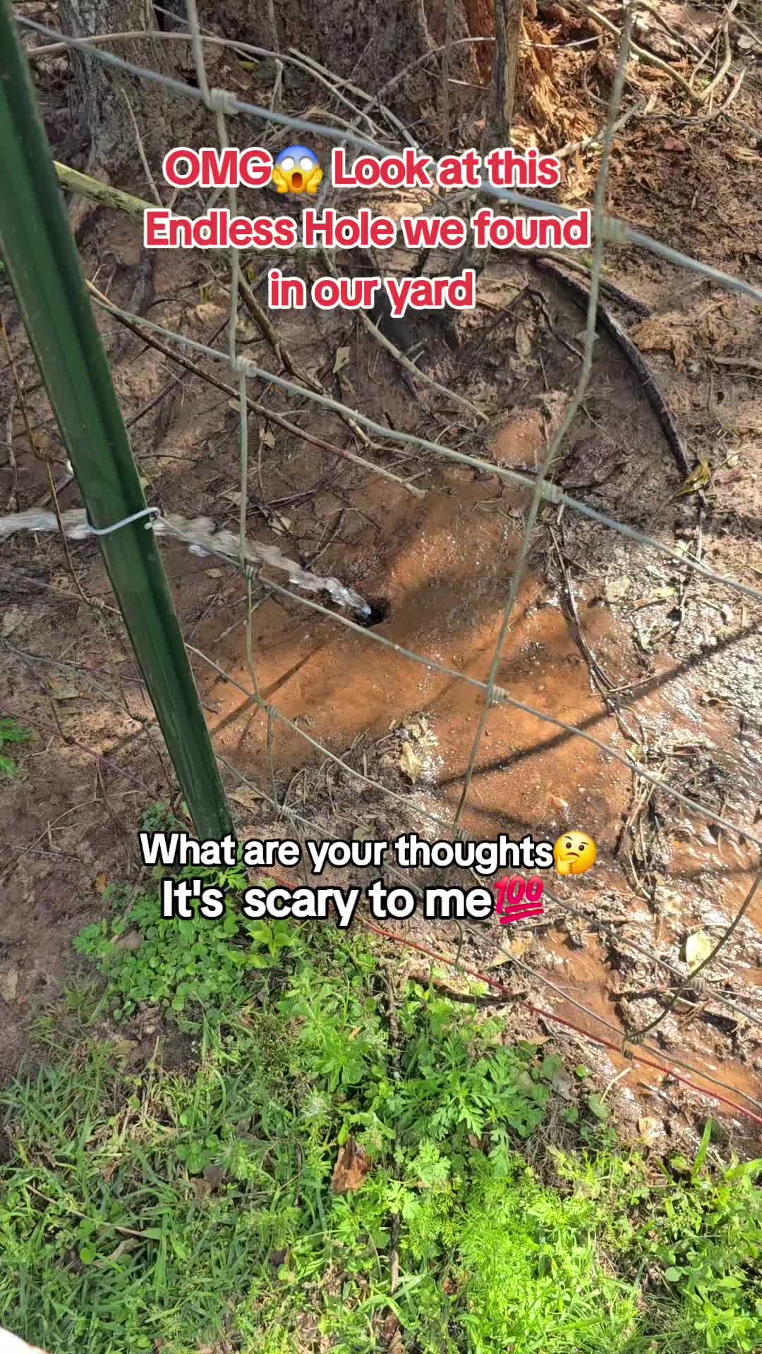@Meakahomestead_00