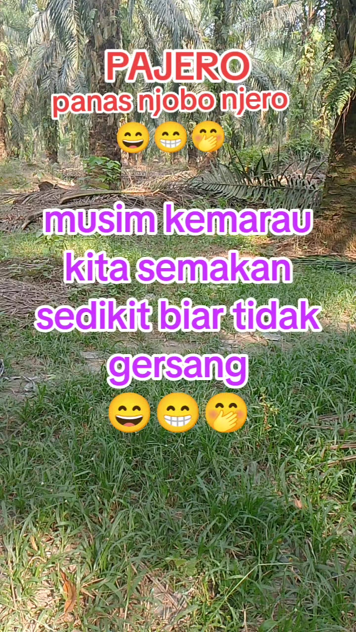 @Ariadi