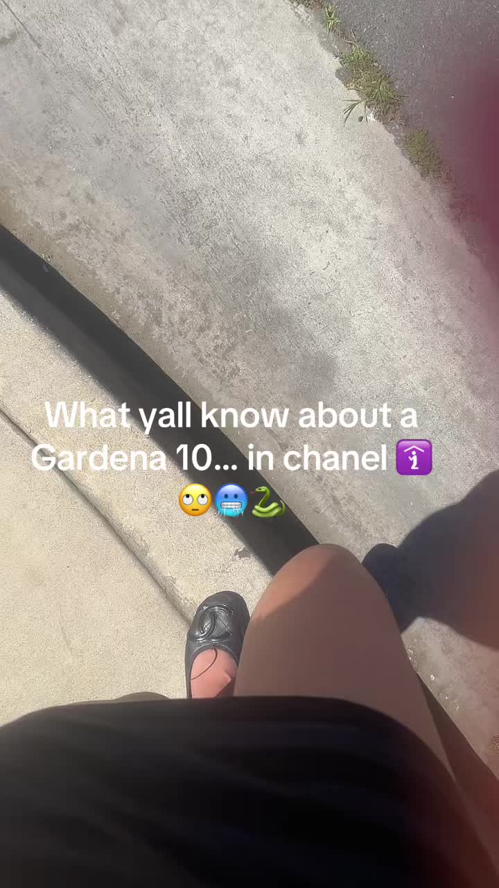@nirvana