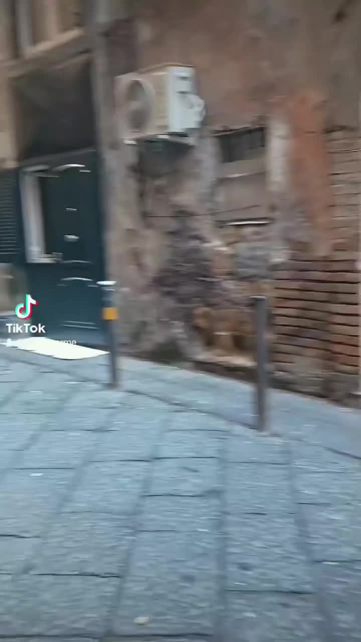 @Housecarmè