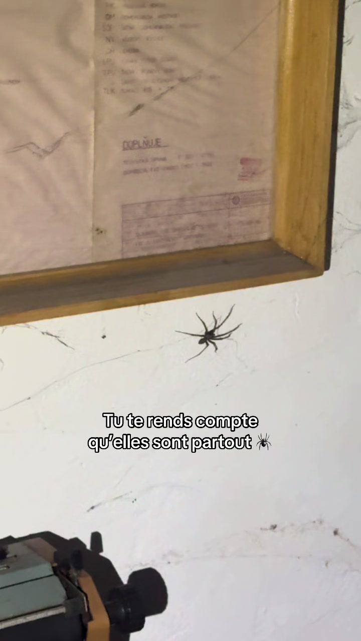 @Gabriel & Corentin