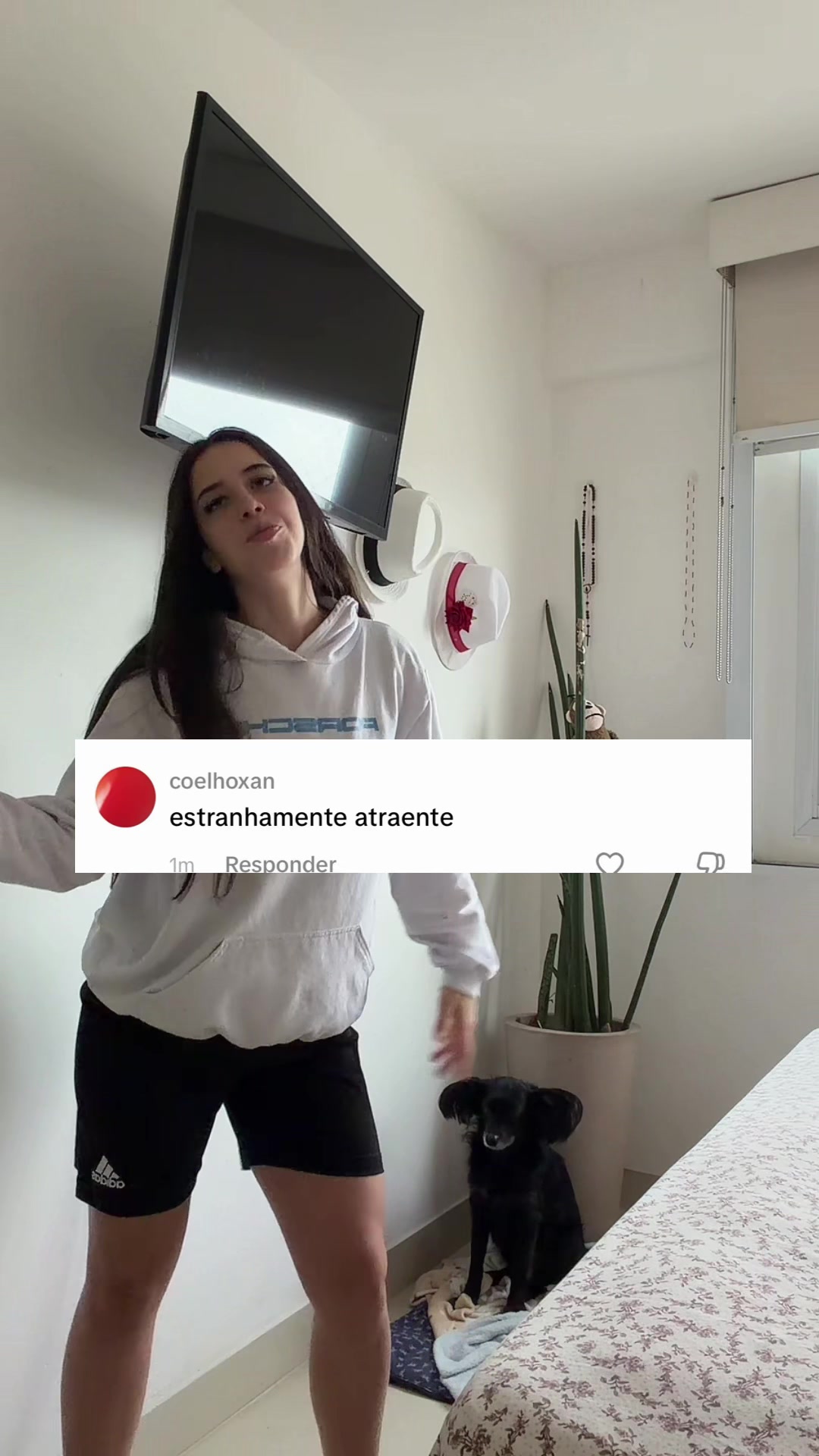 @Sofia Fernandes