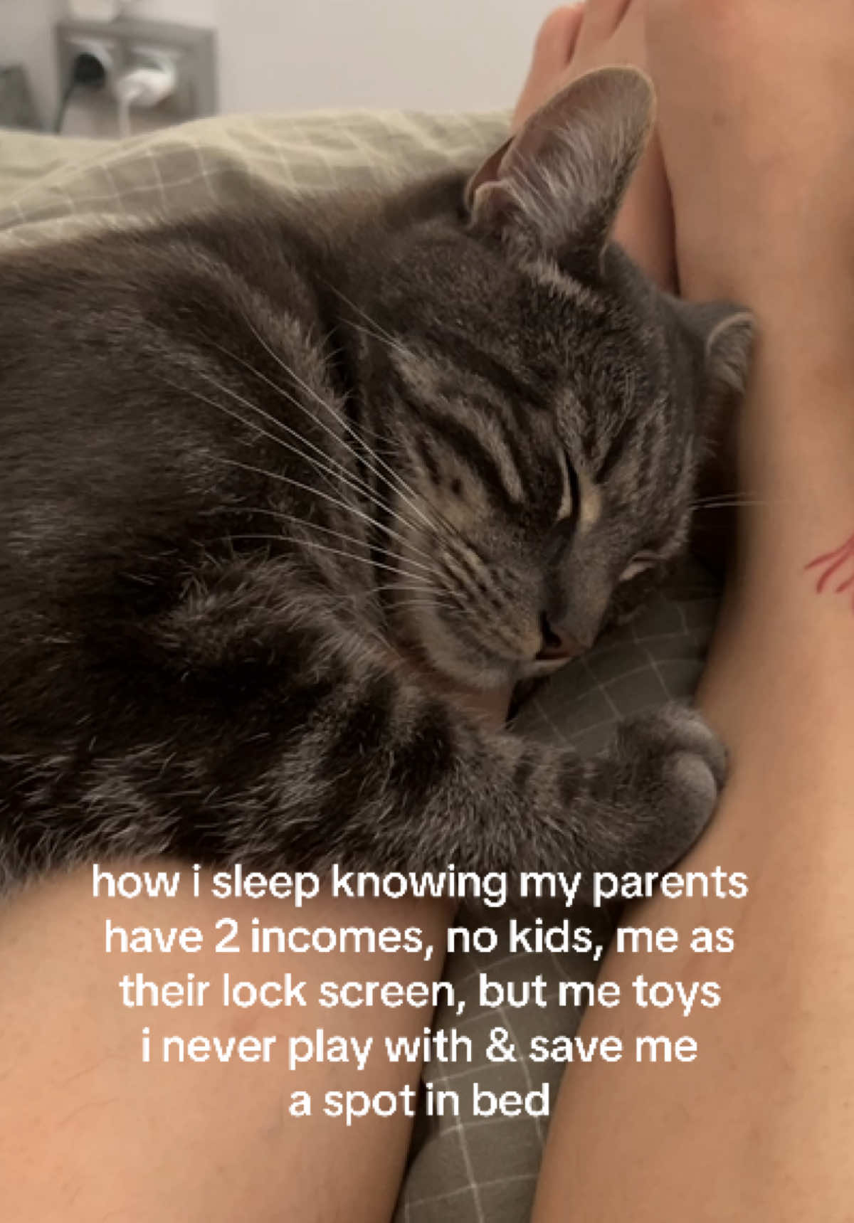 @lilcatloki