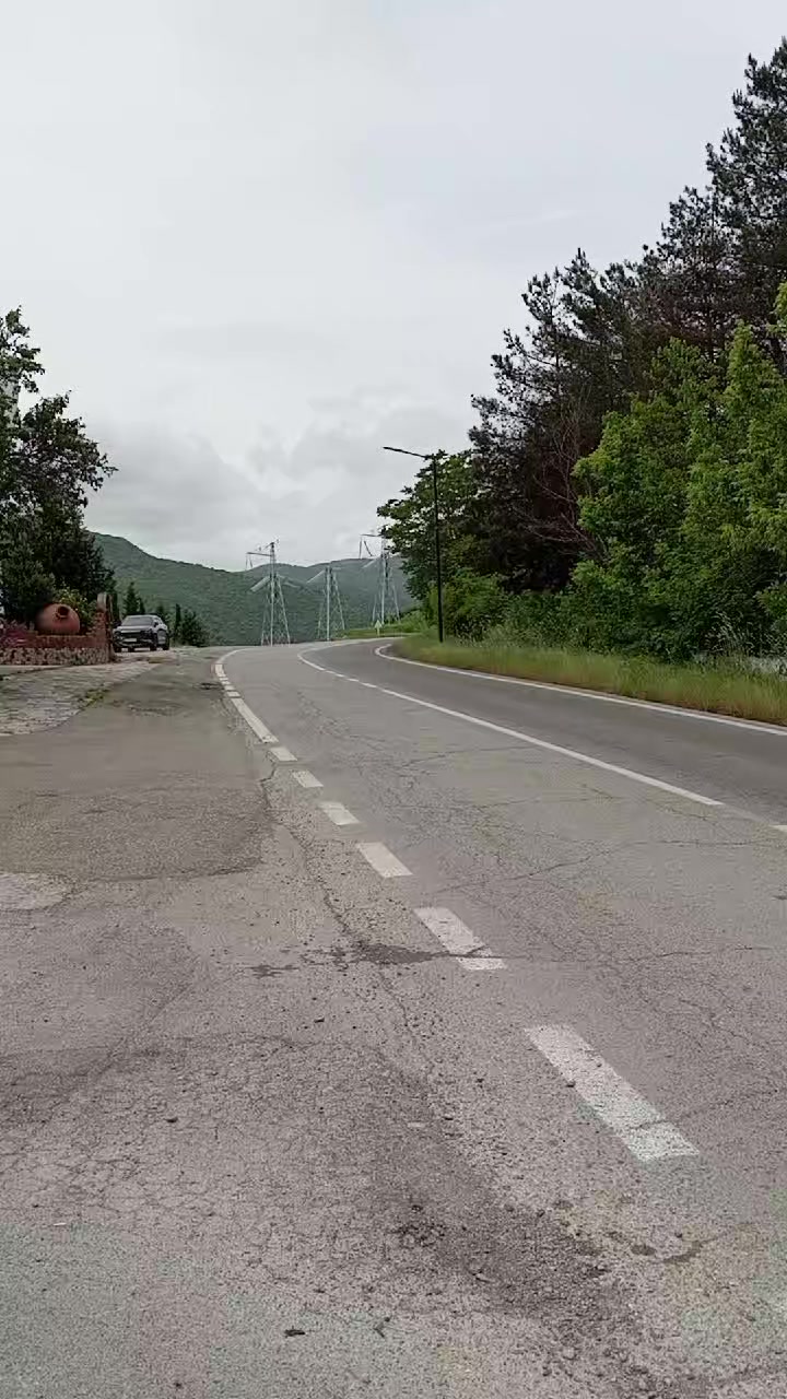 @vp vito sifaris