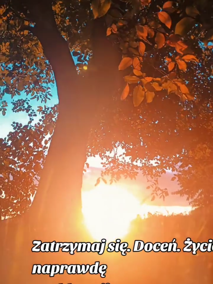 @Krzysztof W&oacute;jtowicz