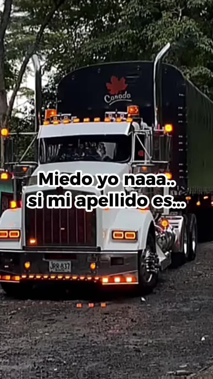 @PLANTILLAS de APELLIDOS☘️🥷