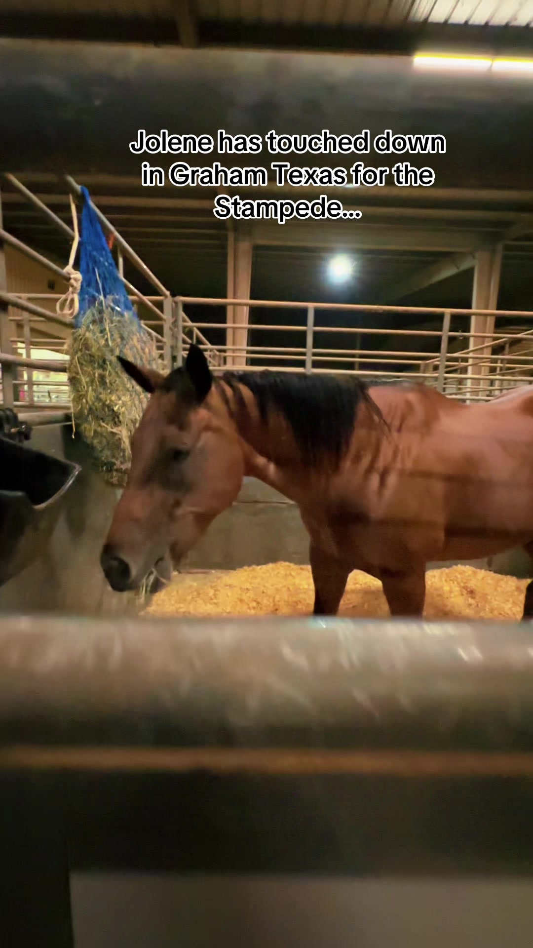 @Freedom Equestrian Center