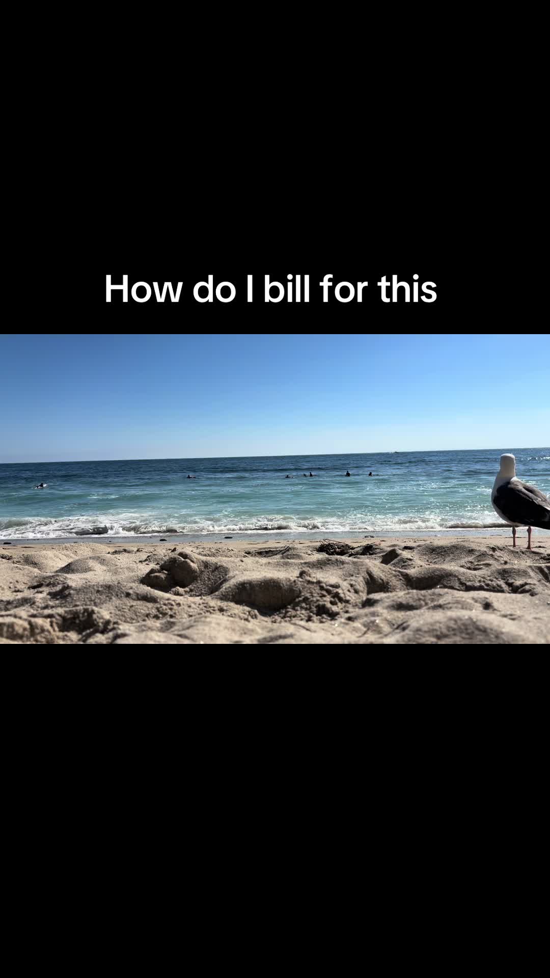@legally chelsea