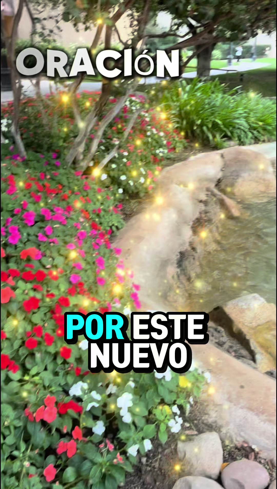 @Leticia Mejia