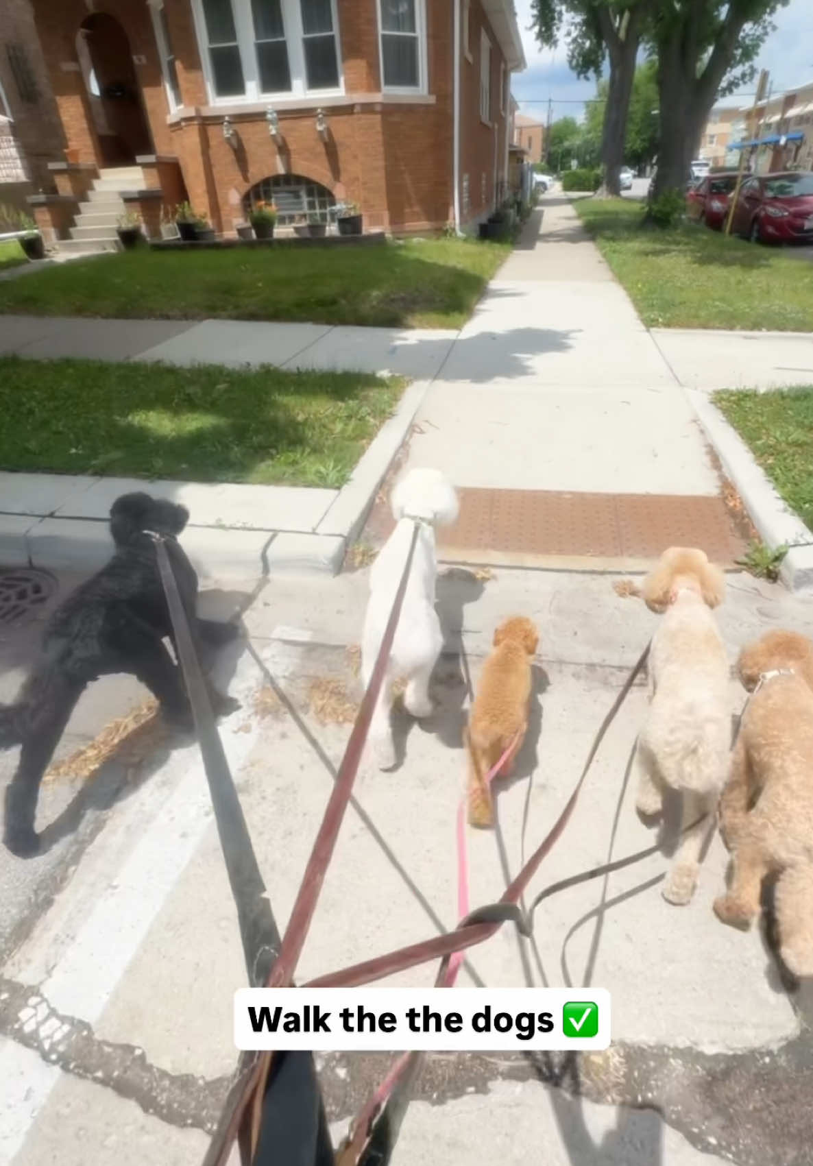 @packwalkdiaries