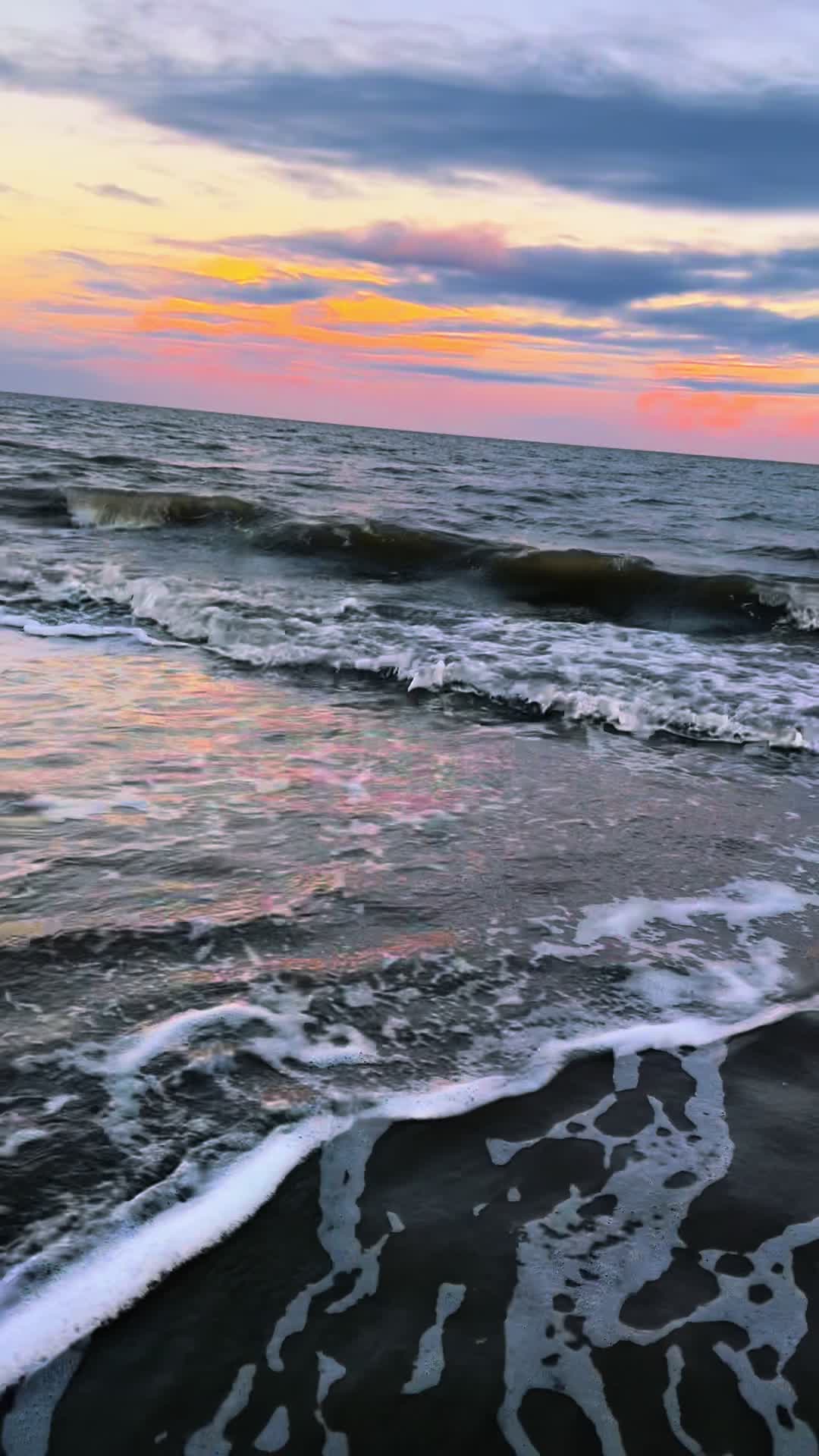 @a_bees_path2