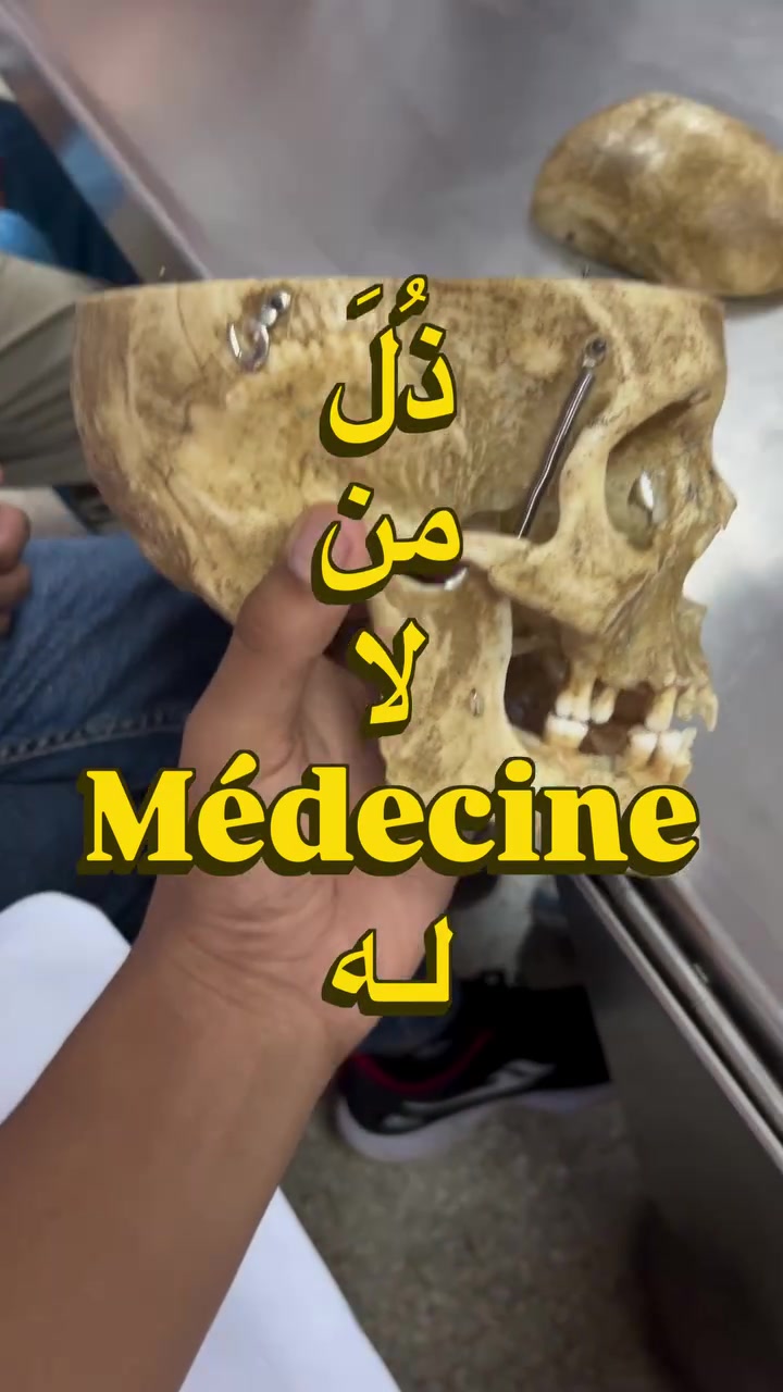@Oussama_and_med