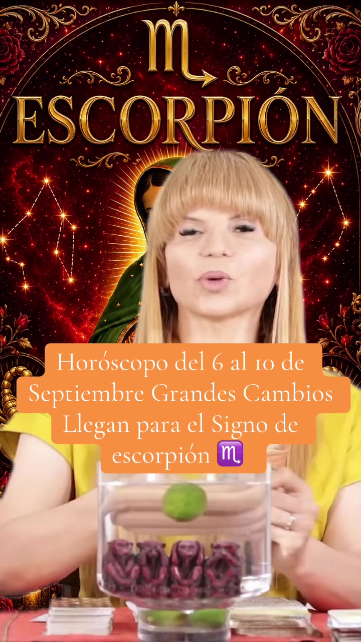 @✨ORÁCULO 13 ✨