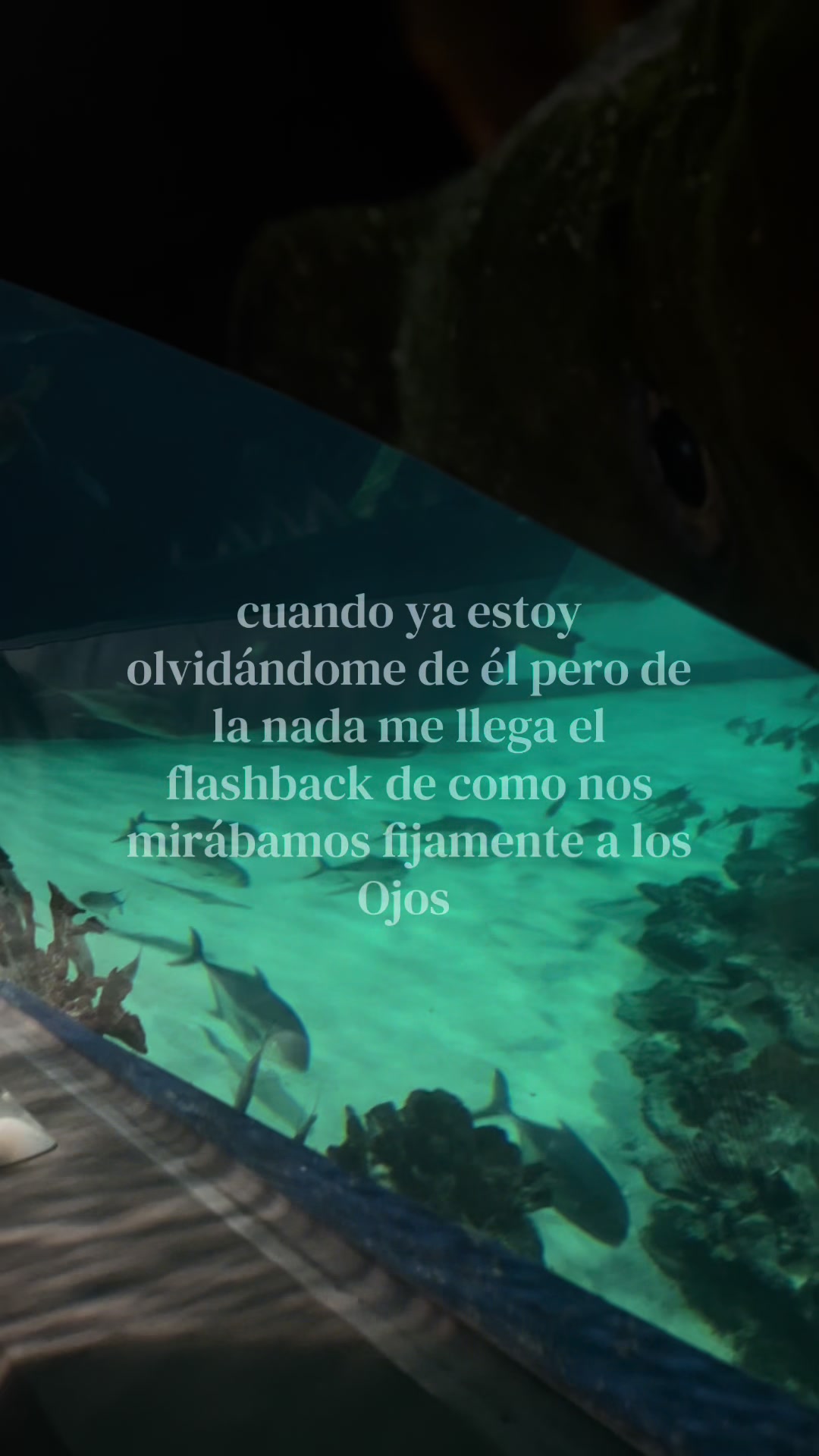 @User_31