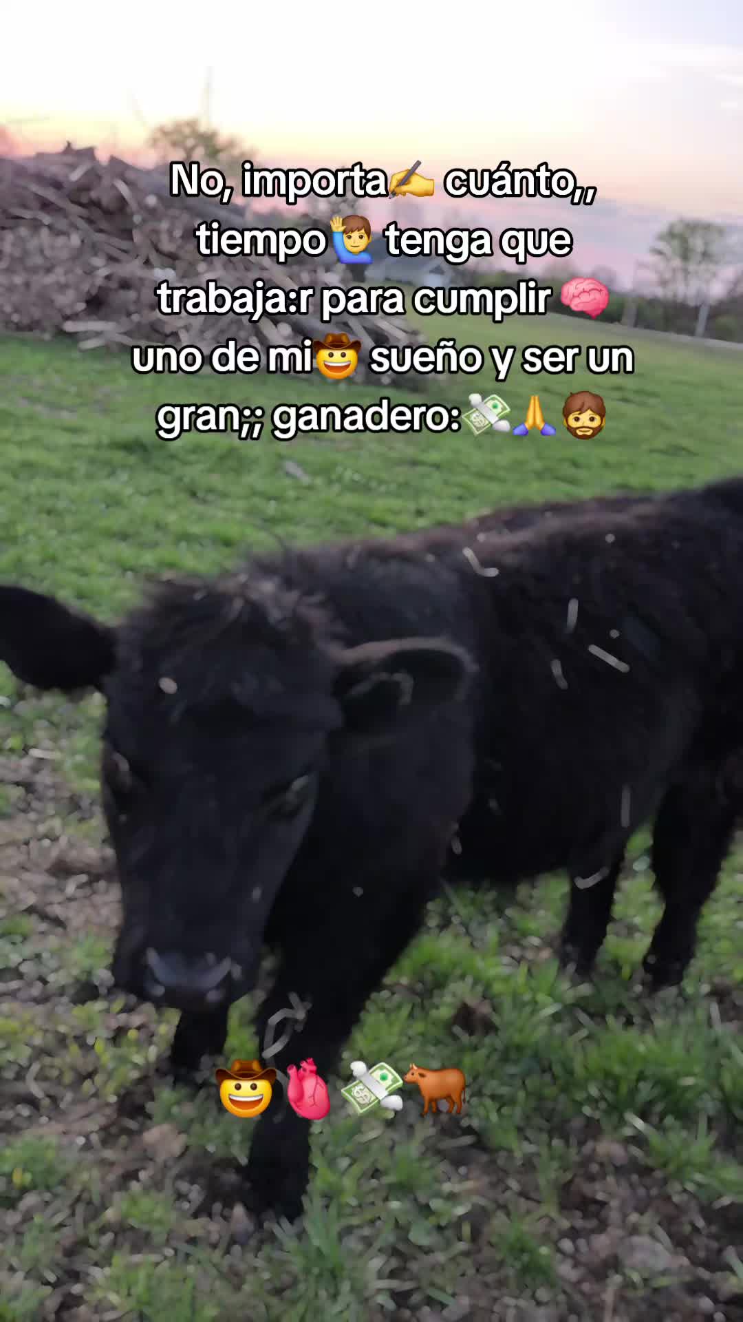 @Mendoza fan🐂 del éxito ✍️🧠💸