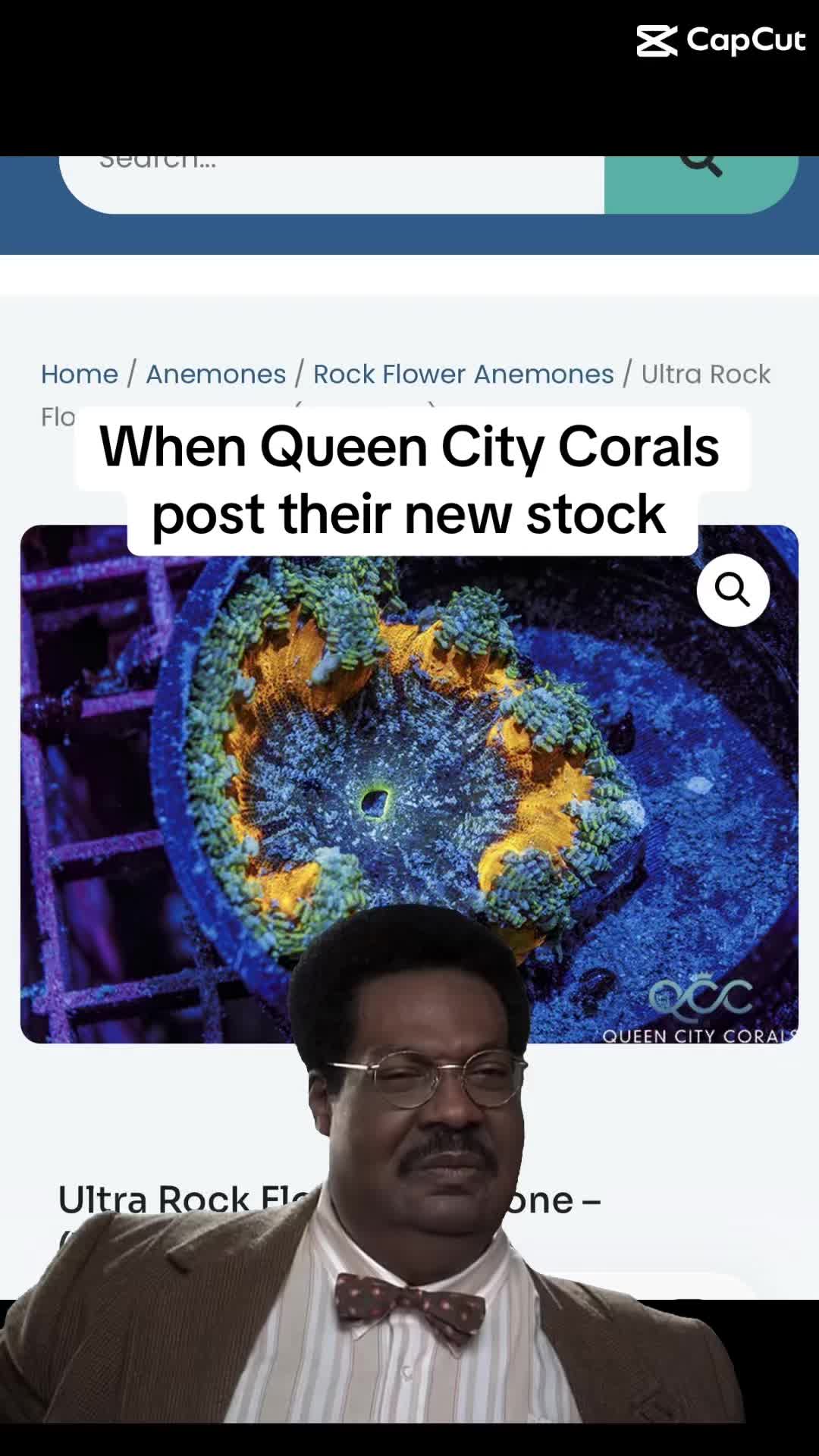 @ReefTok