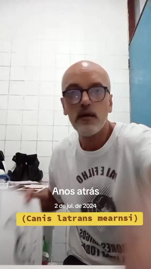 @Afonso Henrique