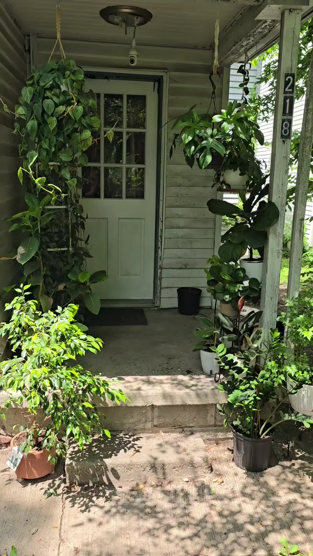 @JT - BigEGOPlants