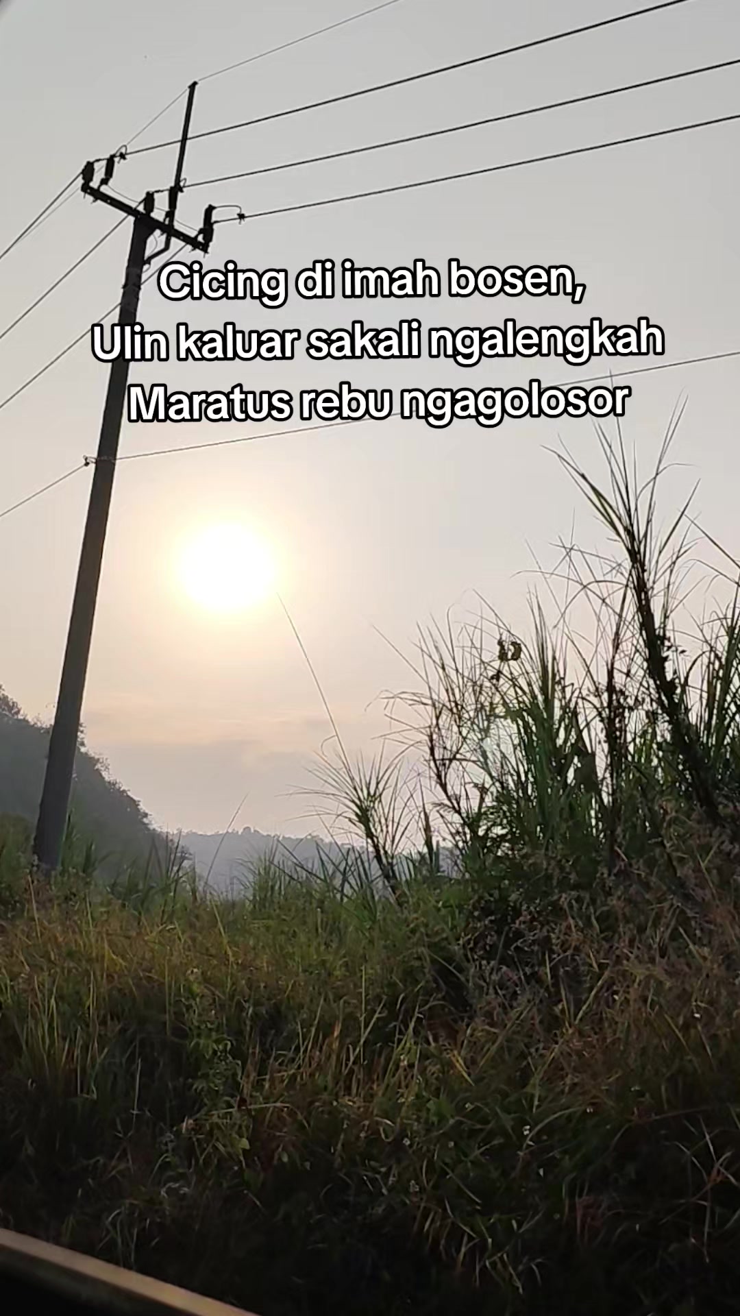@vvtty