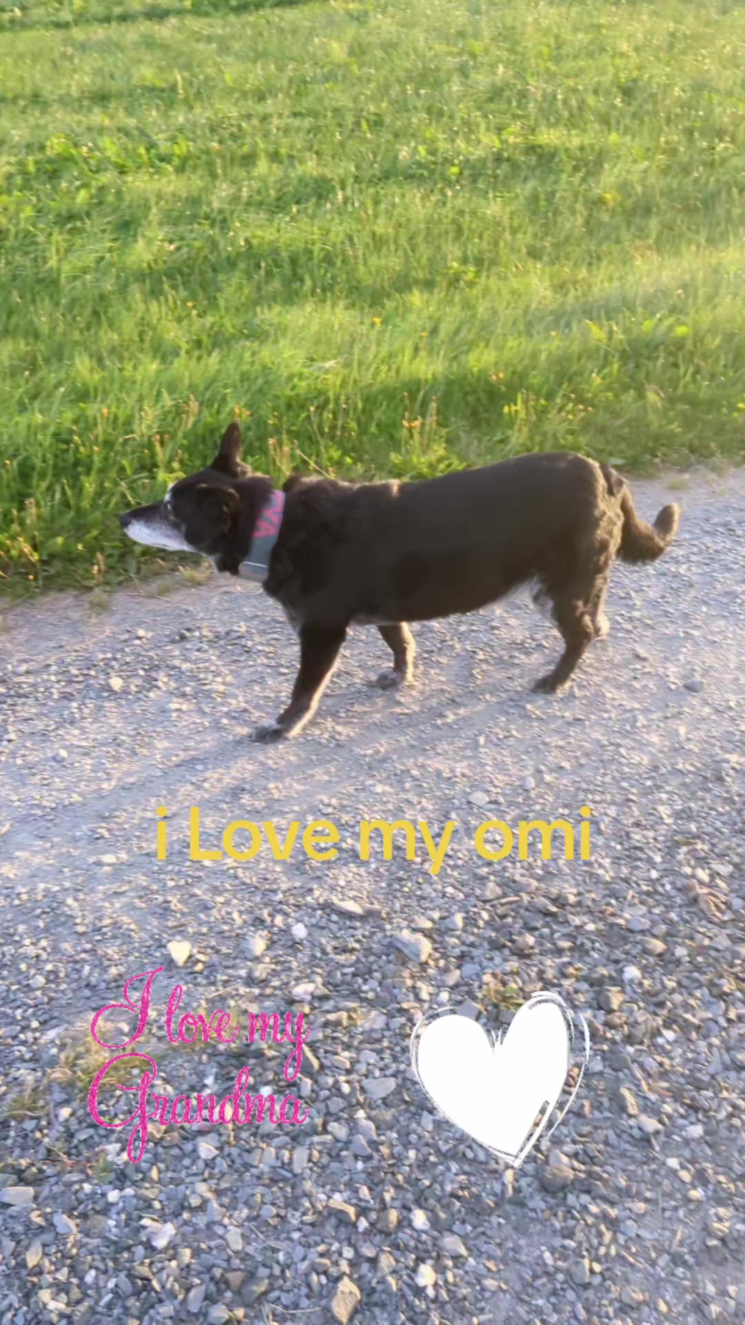 @Famy_rudel_chefin
