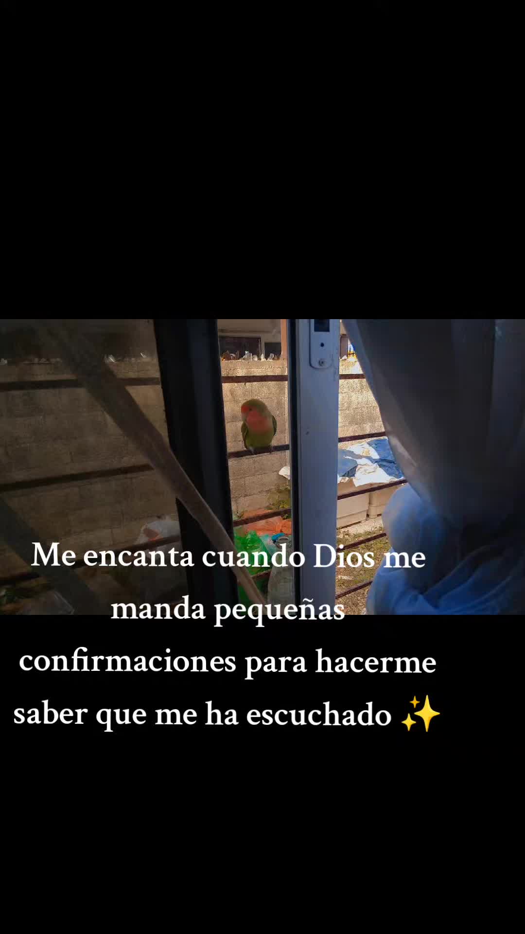@Ver&oacute;nica