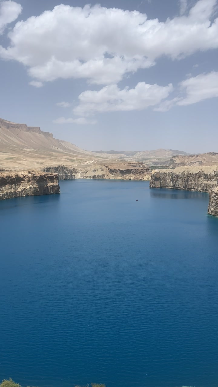 @Afghanimal
