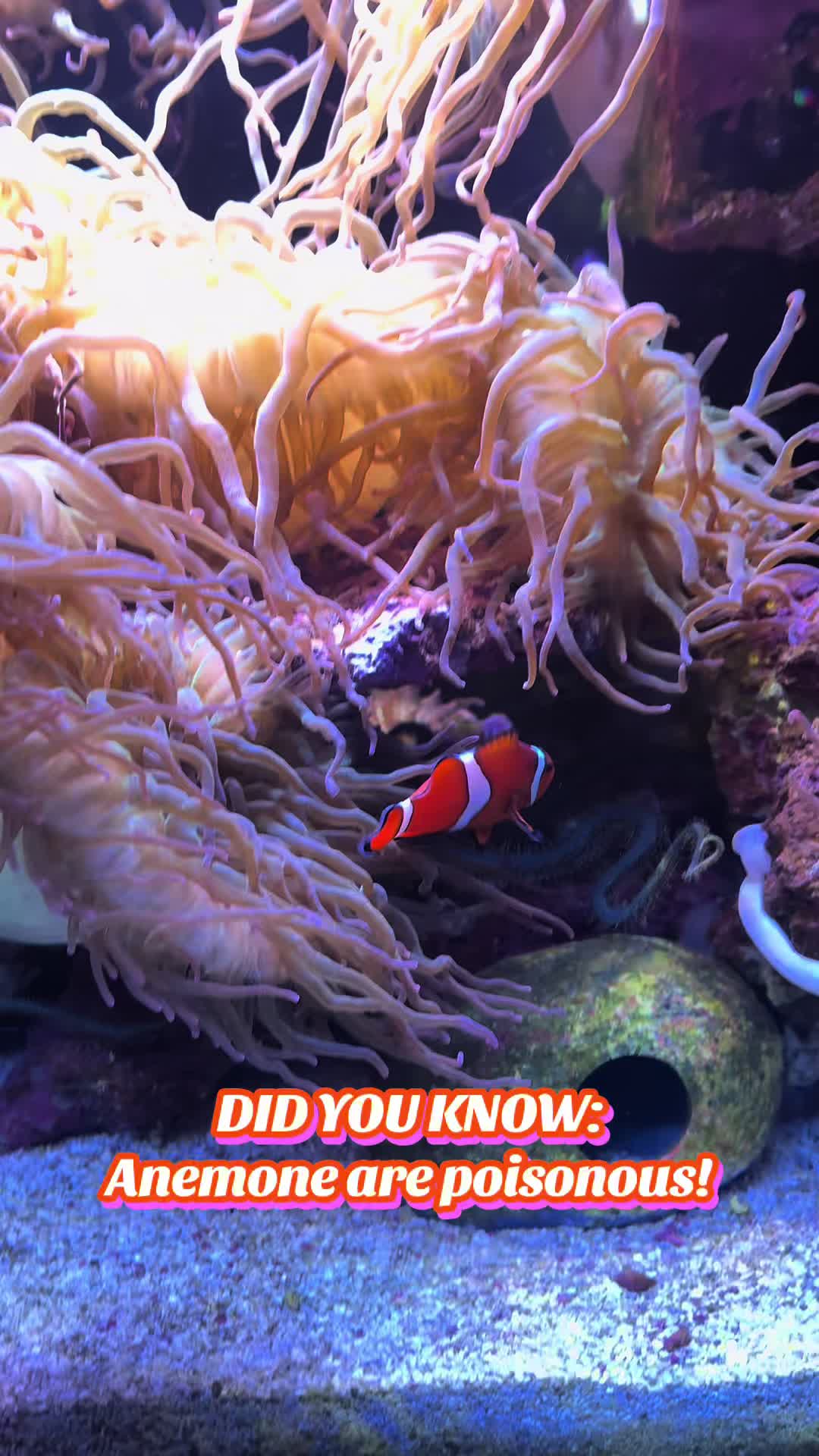 @San Antonio Aquarium