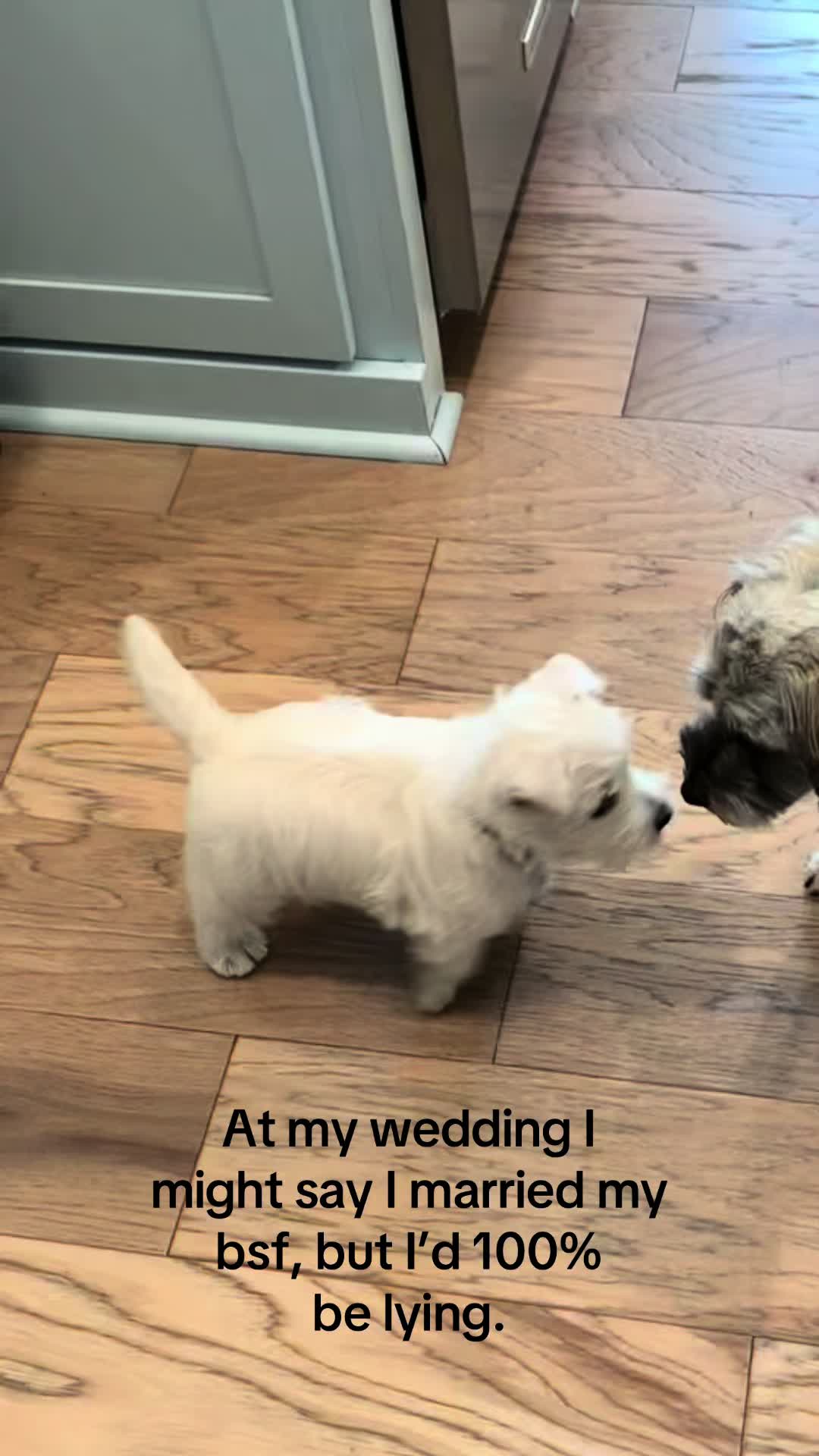 @clairebear