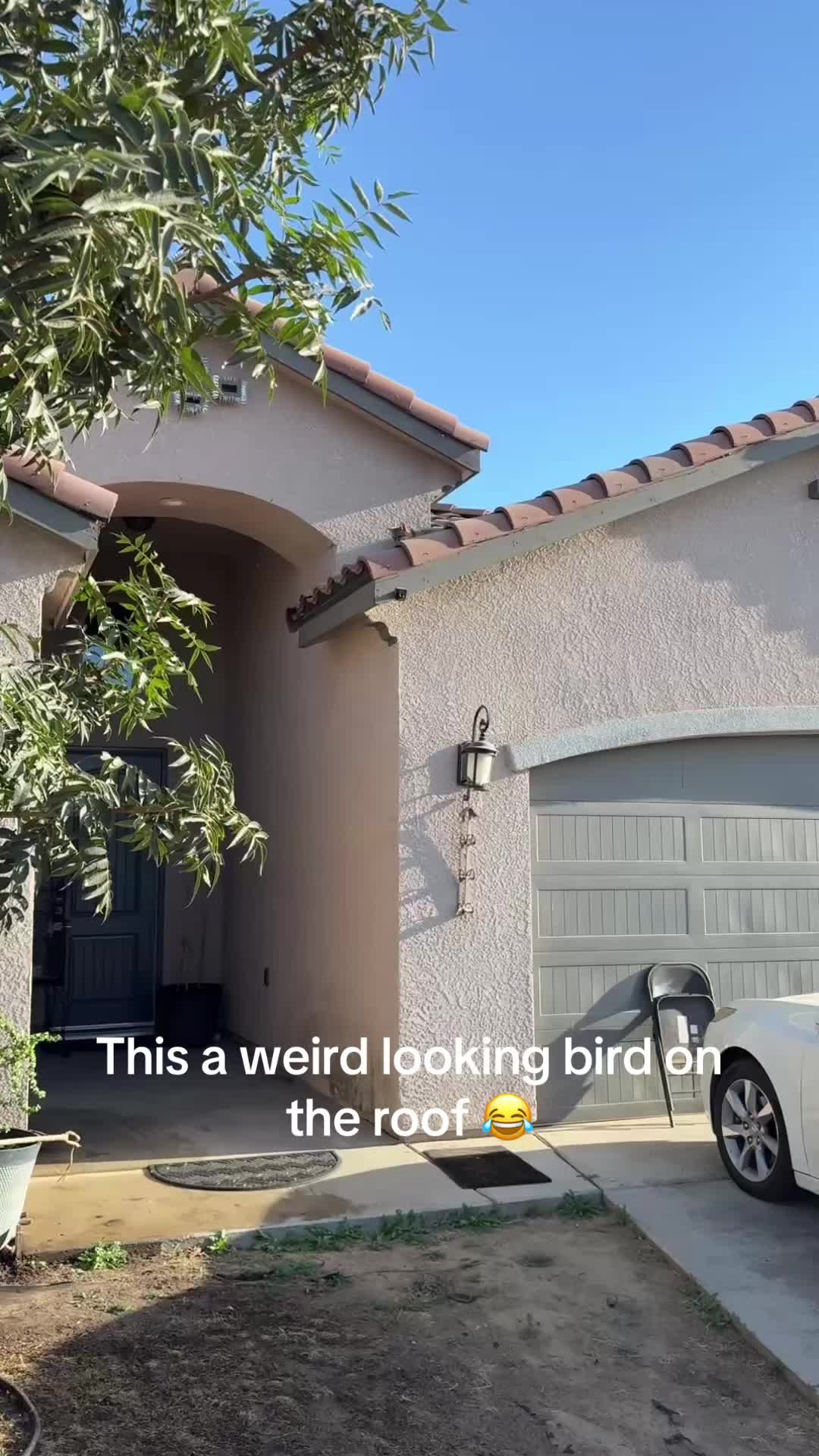@Federico