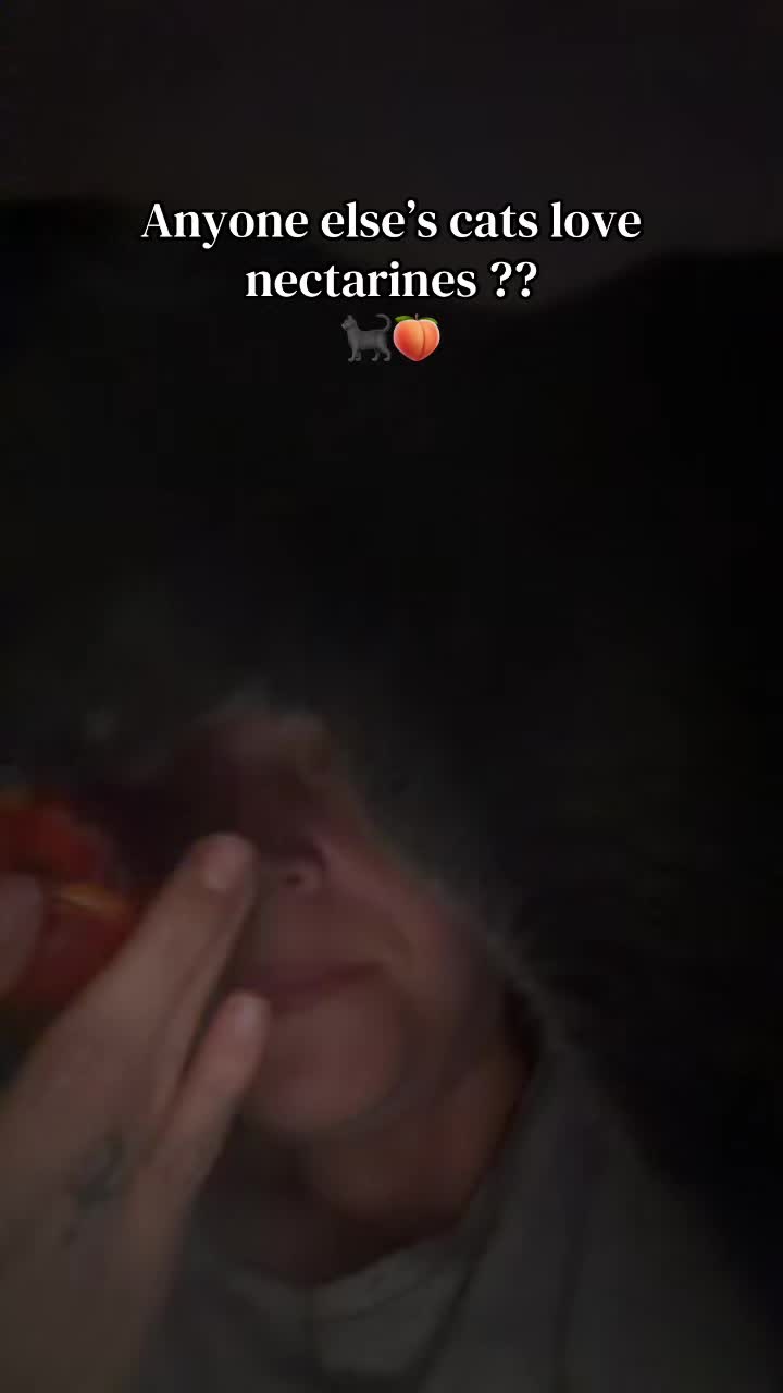 @Chaosx3
