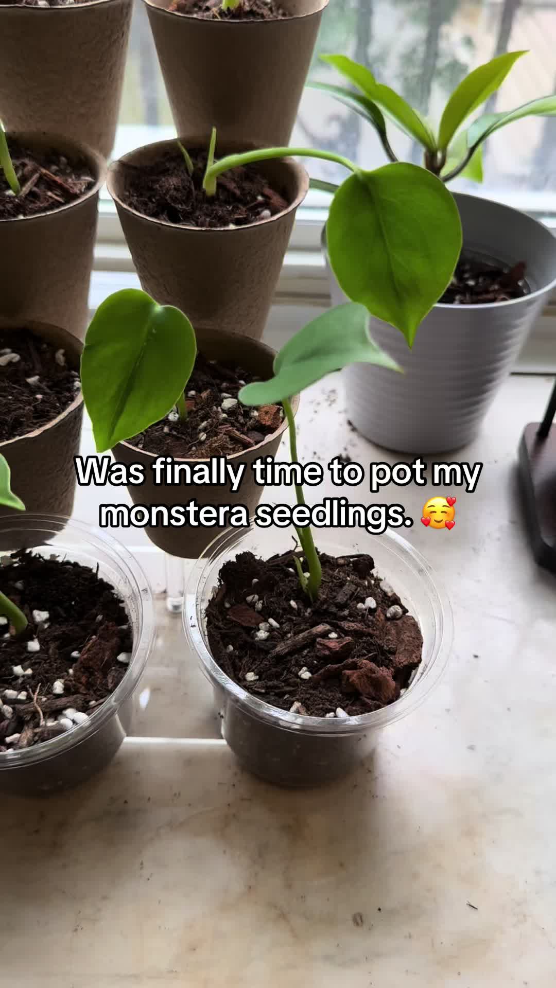 @TwoRalphsMakeARight