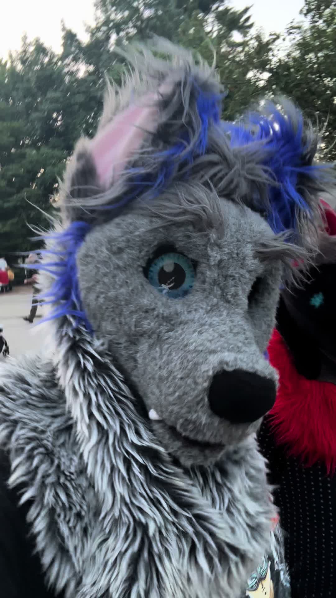 @ph0toshoot