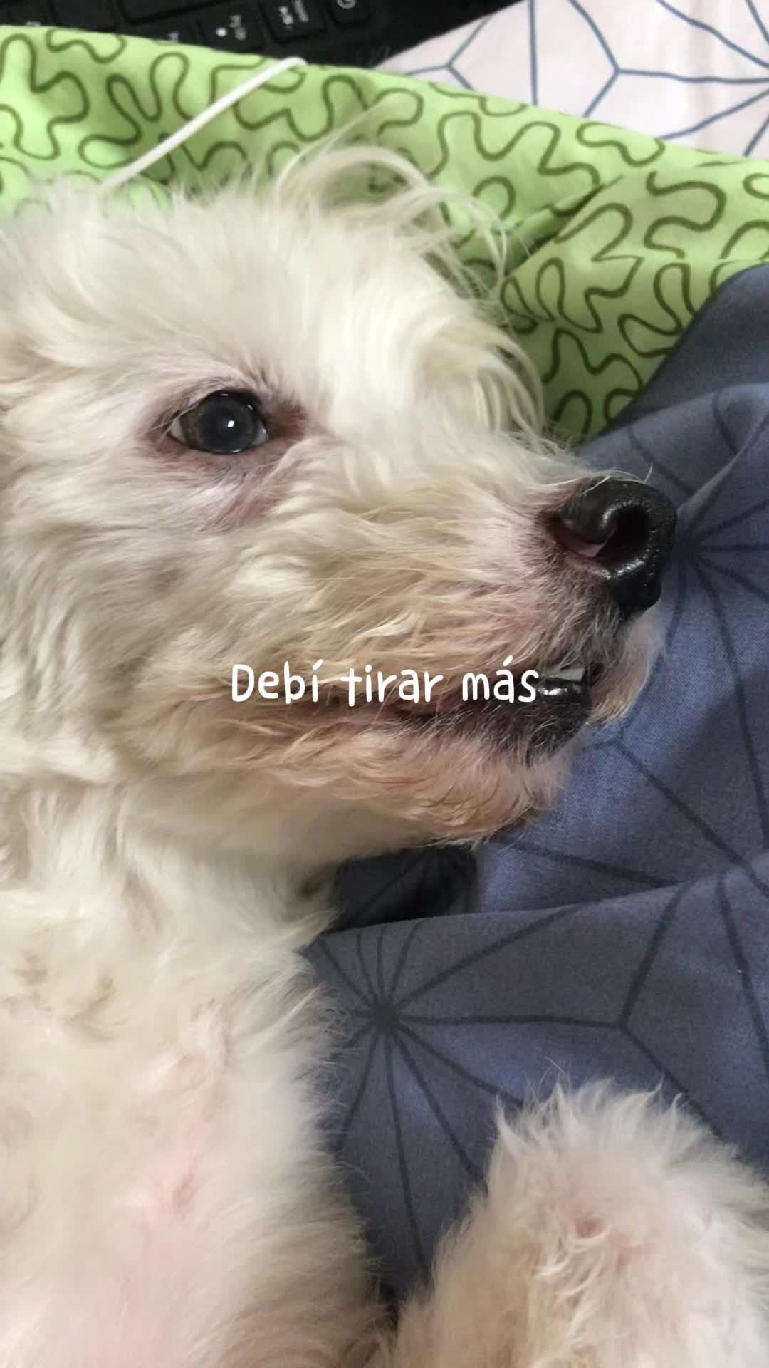 @๐๐ผ๐ช๐ธ