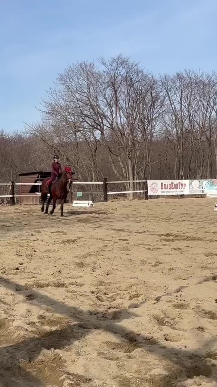 @🐴🤎
