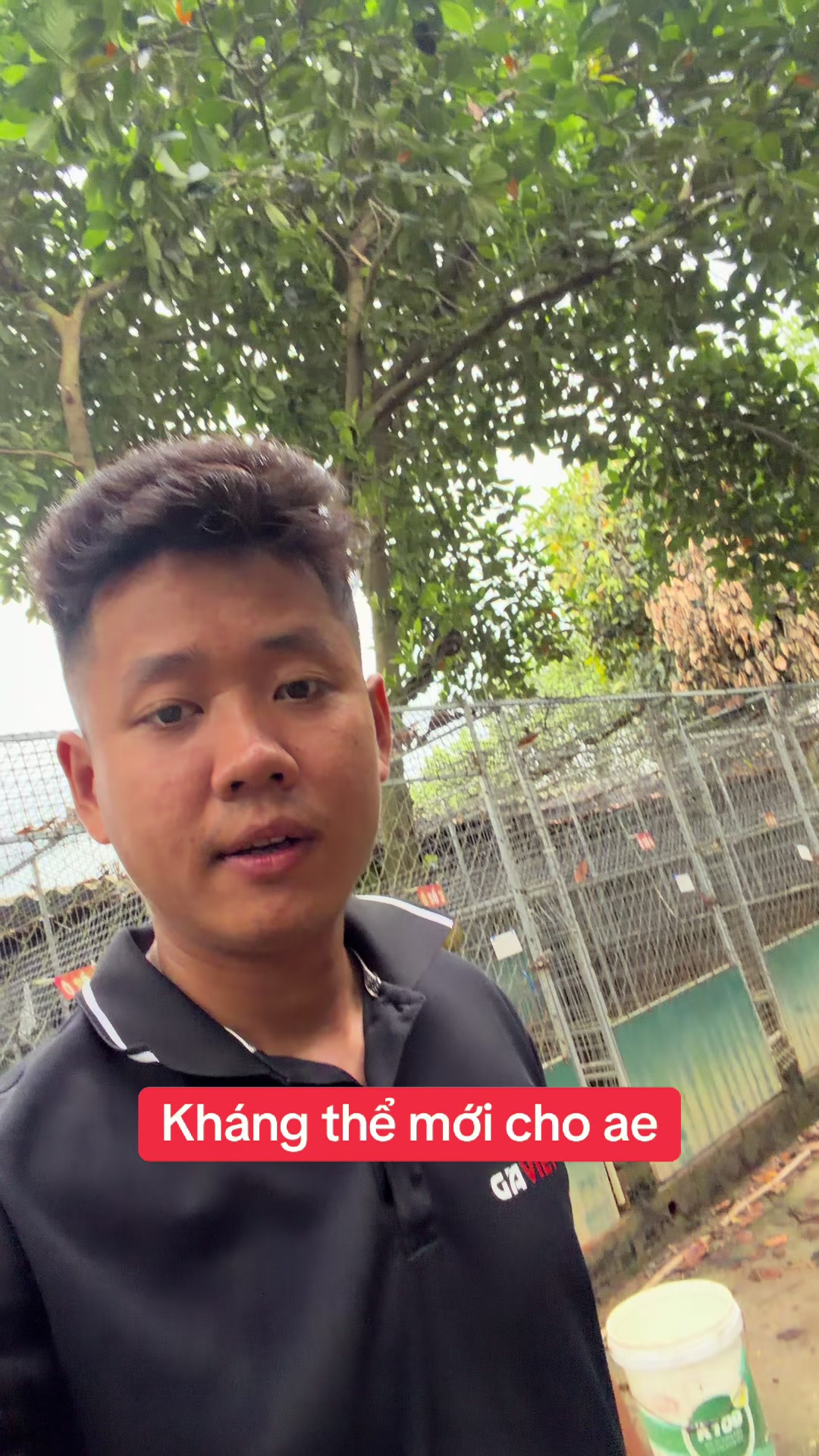 @Quyền Ba Vì