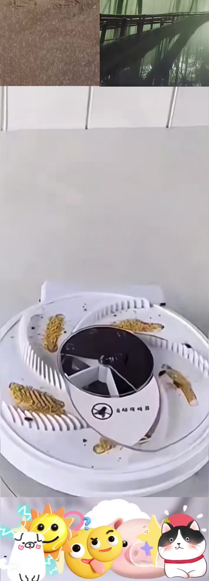 @gfvuygshop