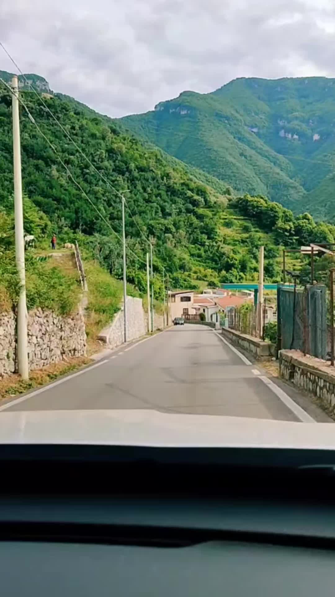 @Svetlana Amalfi